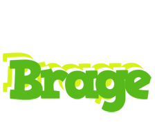 Brage picnic logo