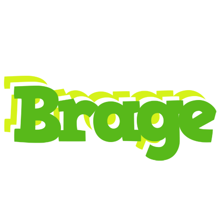 Brage picnic logo