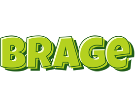 Brage summer logo