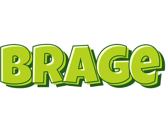 Brage summer logo
