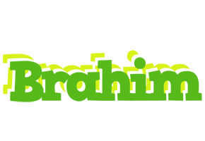 Brahim picnic logo