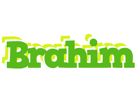 Brahim picnic logo