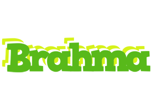 Brahma picnic logo