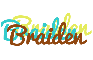 Braiden cupcake logo