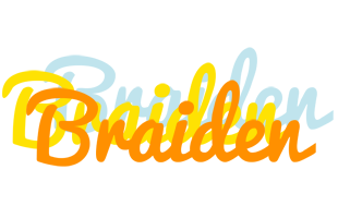 Braiden energy logo