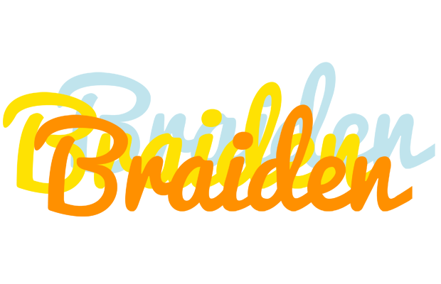 Braiden energy logo