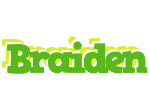 Braiden picnic logo