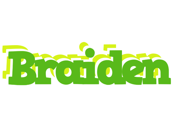 Braiden picnic logo
