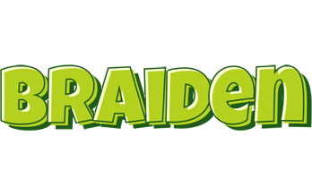 Braiden summer logo