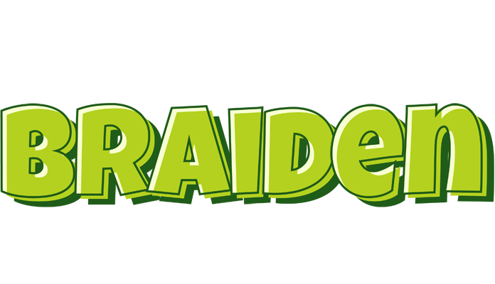 Braiden summer logo