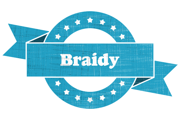 Braidy balance logo