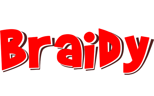 Braidy basket logo