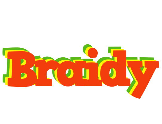 Braidy bbq logo