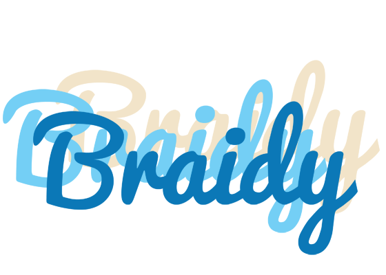 Braidy breeze logo