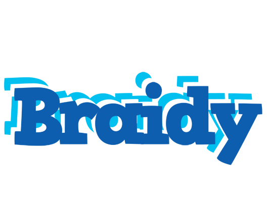 Braidy business logo