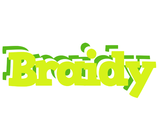 Braidy citrus logo
