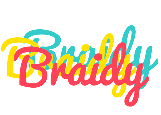 Braidy disco logo