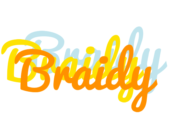 Braidy energy logo