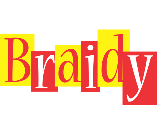 Braidy errors logo