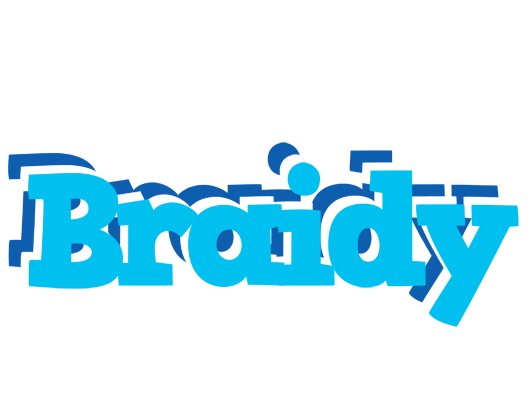 Braidy jacuzzi logo