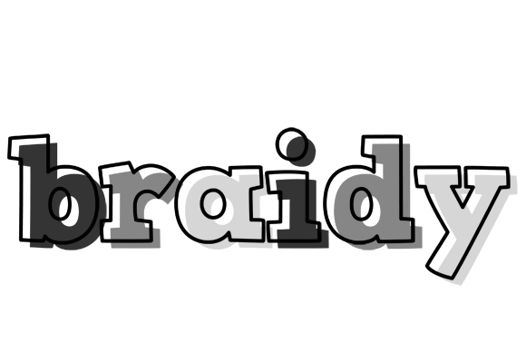 Braidy night logo