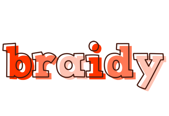 Braidy paint logo