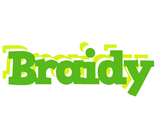 Braidy picnic logo