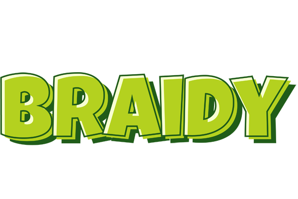 Braidy summer logo