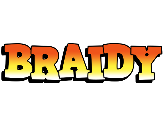 Braidy sunset logo