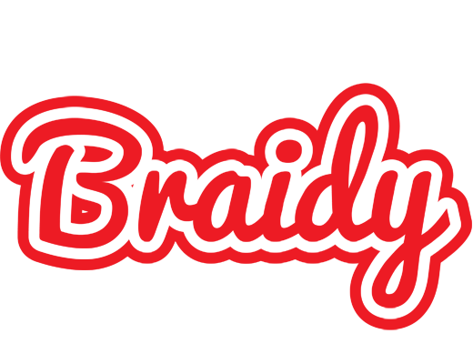 Braidy sunshine logo