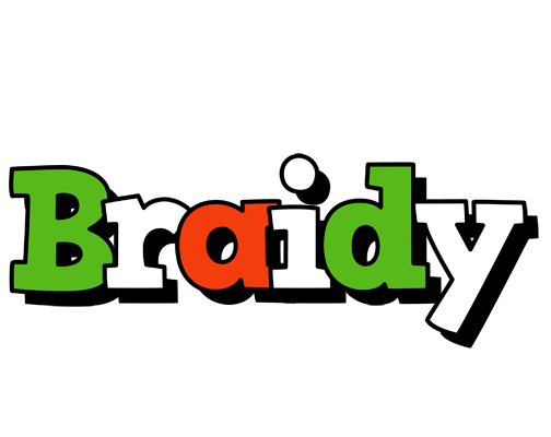 Braidy venezia logo