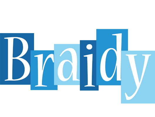 Braidy winter logo