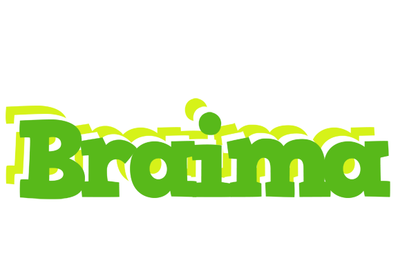 Braima picnic logo