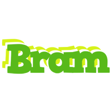 Bram picnic logo