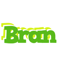 Bran picnic logo