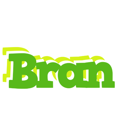 Bran picnic logo