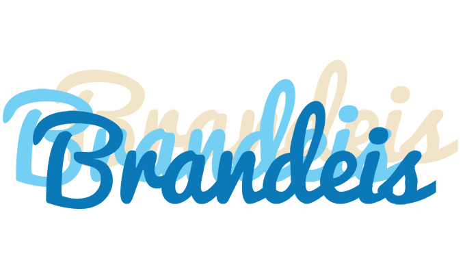 Brandeis breeze logo