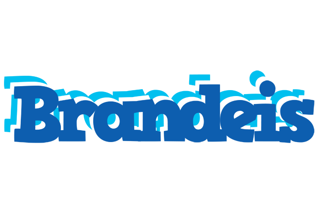Brandeis business logo