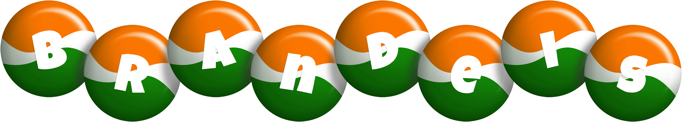 Brandeis india logo