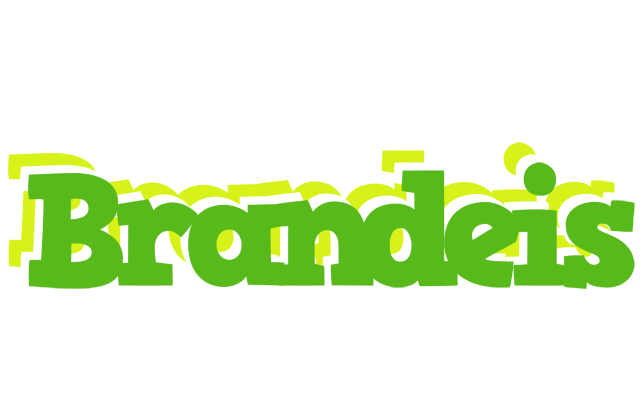 Brandeis picnic logo