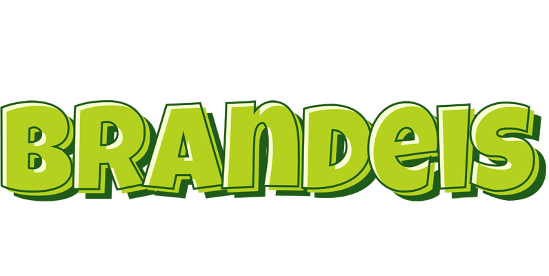 Brandeis summer logo