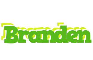 Branden picnic logo