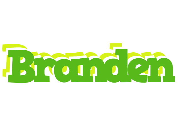 Branden picnic logo