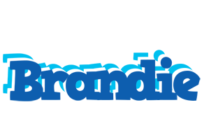 Brandie business logo