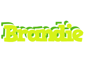 Brandie citrus logo