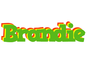 Brandie crocodile logo