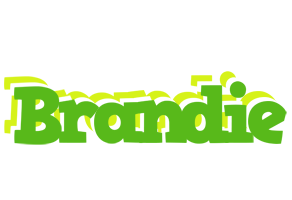 Brandie picnic logo