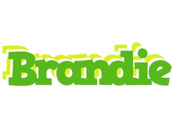 Brandie picnic logo