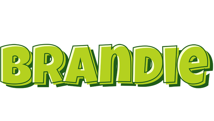 Brandie summer logo