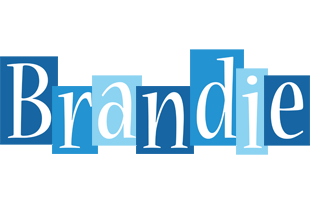 Brandie winter logo